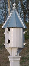 birdhouse pic